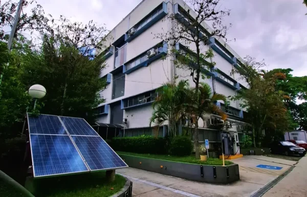 SnapInsta.to_582424329_18521487490068093_2043636598029173492_n